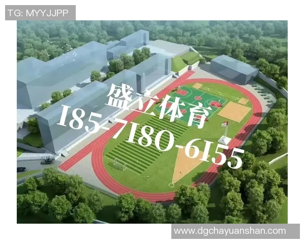 7人制足球场尺寸标准解析及其与传统足球场的比较分析