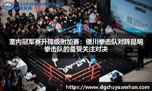 室内冠军赛升降级附加赛：银川拳击队对阵昆明拳击队的备受关注对决