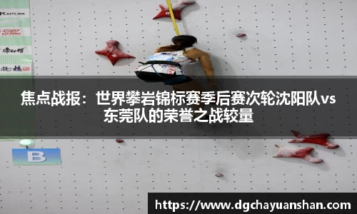 焦点战报：世界攀岩锦标赛季后赛次轮沈阳队vs东莞队的荣誉之战较量