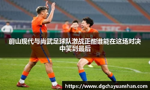 蔚山现代与尚武足球队激战正酣谁能在这场对决中笑到最后