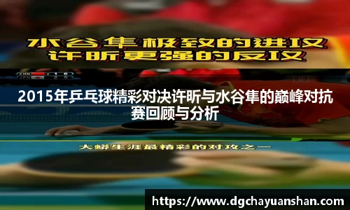 三亿(集团)体育